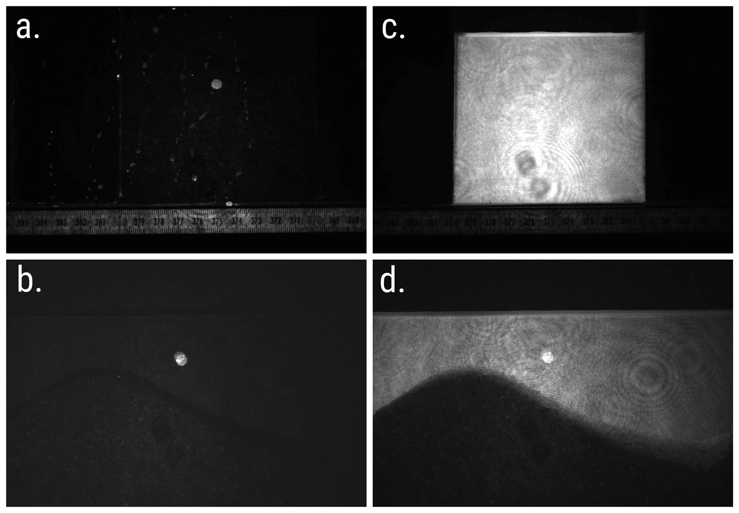 Imaging Fluorescent Microplastic Sedimentation 配图 1