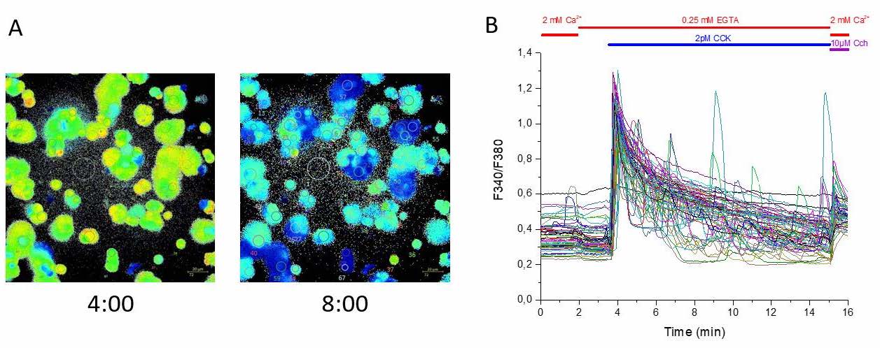 Calcium Imaging at Heidelberg University 配图 1