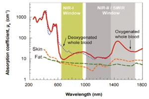 Deep-Cooled InGaAs FPA Camera Enables High-Speed, High-Resolution In Vivo Imaging of SWIR-Emitting Quantum Dots 配图 1