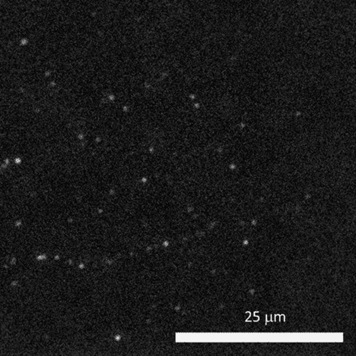 Cryo Super-Resolution Imaging 配图 1