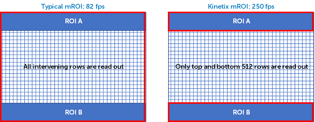 Kinetix Advanced Features: Multi-ROI 配图 4