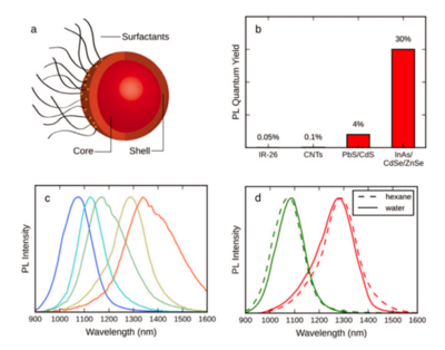 Deep-Cooled InGaAs FPA Camera Enables High-Speed, High-Resolution In Vivo Imaging of SWIR-Emitting Quantum Dots 配图 1