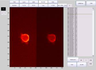 Electrophysiology and FRET 配图 2