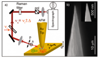 Tip-Enhanced Raman Scattering (TERS) 配图 2